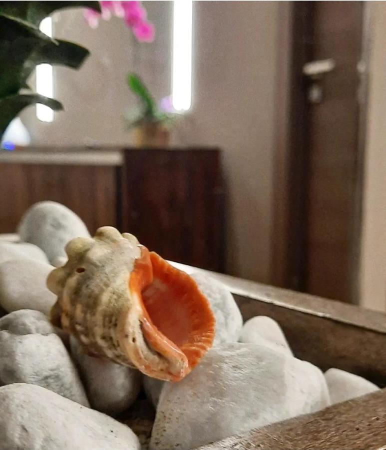 Il Vicolo B&B Giubileo Nettuno Ngoại thất bức ảnh